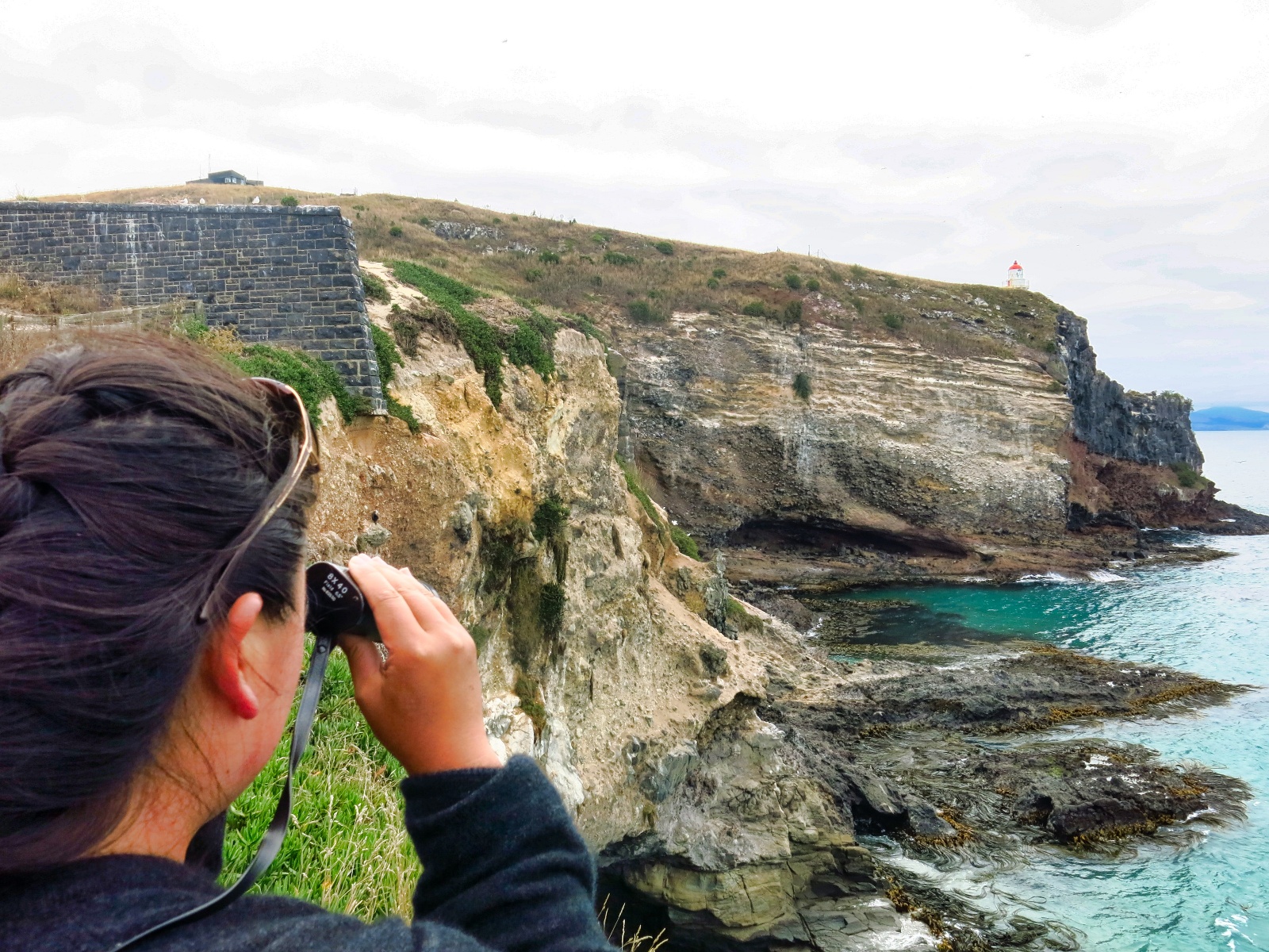 New Zealand Sydøen 2015